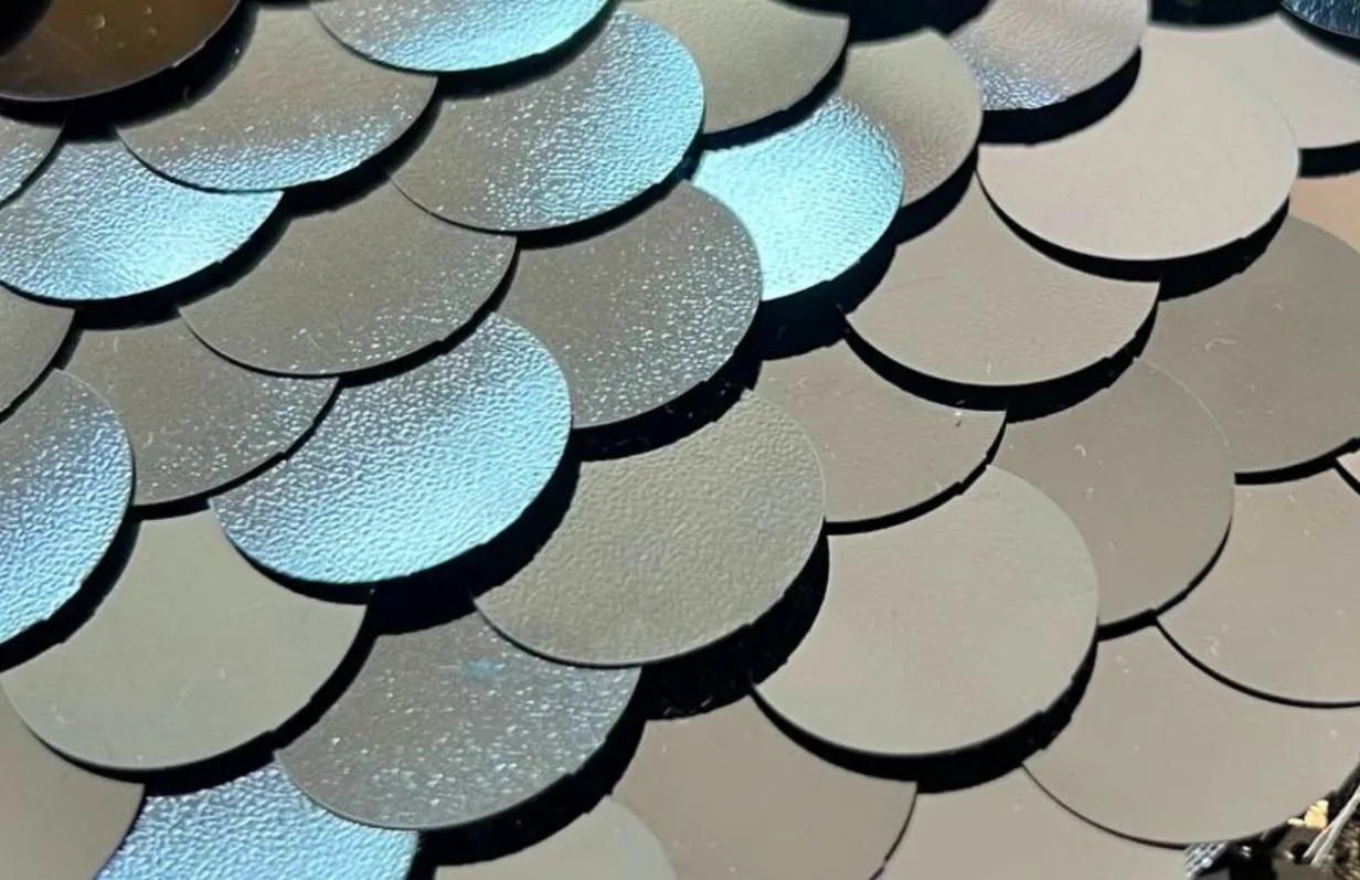 Ricamo paillettes